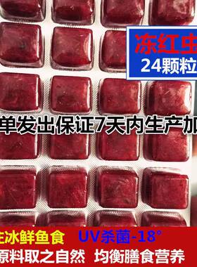冰冻红虫赤中小型鱼乌龟七