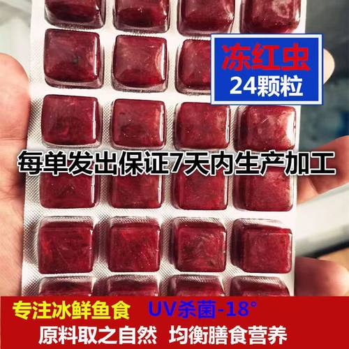 冰冻红虫赤中小型鱼乌龟七