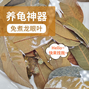 乌龟专用龙眼叶养龟免煮专用预防腐皮改善水质躲避造景树叶乌龟缸
