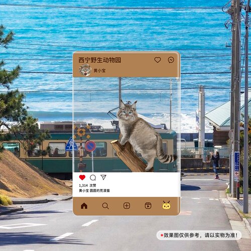 荒漠猫黄小宝黄米糕65x95mm亚克力合影卡透卡西野动物园生态文创