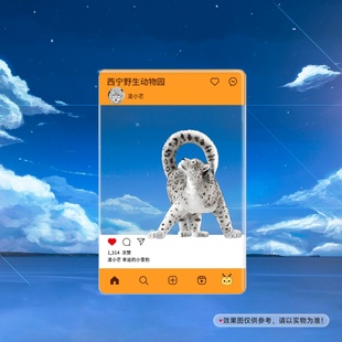 雪豹凌小芒桑桑85x130mm亚克力合影卡透卡西宁野生动物园生态文创