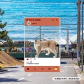 猞猁花园宝宝65x95mm亚克力合影卡透卡西宁野生动物园生态文创