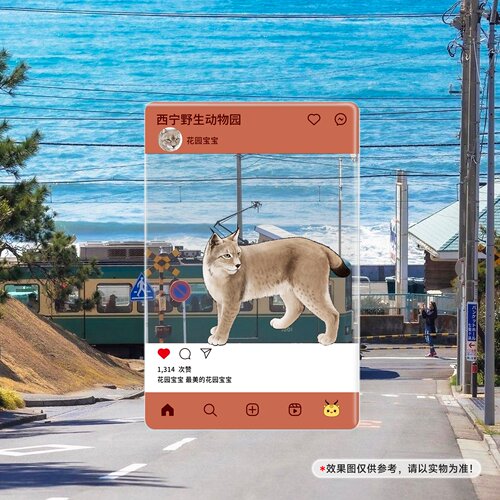 猞猁花园宝宝65x95mm亚克力合影卡透卡西宁野生动物园生态文创
