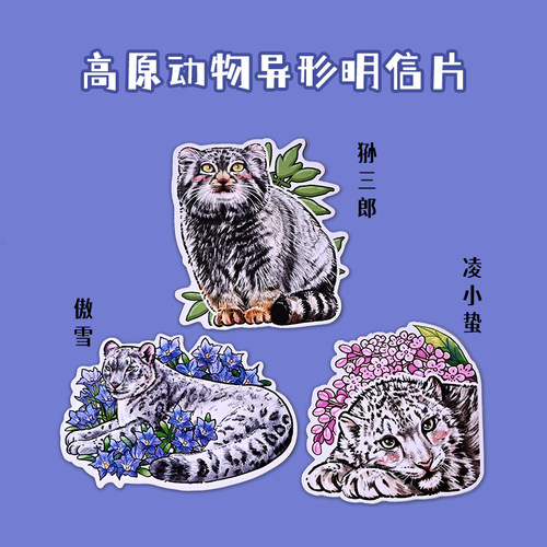 雪豹傲雪兔狲墩墩高原动物异形明信片西宁野生动物园文创