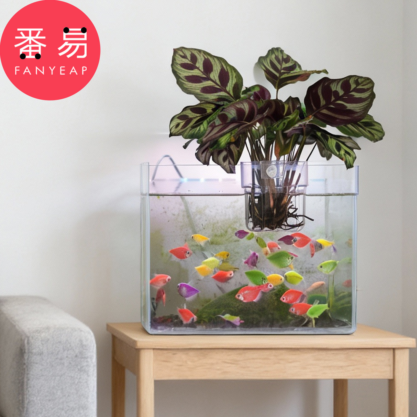 水培定植篮B1pq801-家用水草种植杯壁挂式半透明鱼缸水培植物篮