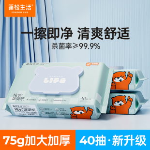 蓬松生活湿厕纸家庭实惠装男女适用洁厕湿巾