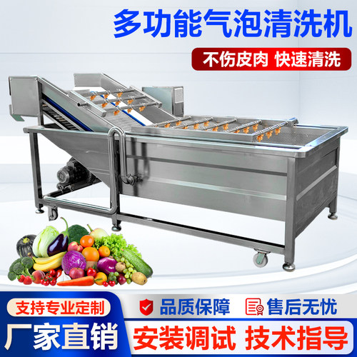 果蔬气泡清洗机全自动多功能洗菜机洗肉机大型商用高压喷淋清洗机