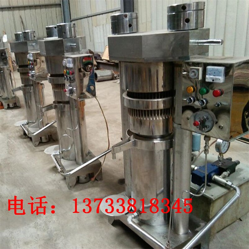 全自动260型液芝麻压香i油机 食用油液压榨油机 核桃仁榨油机价格
