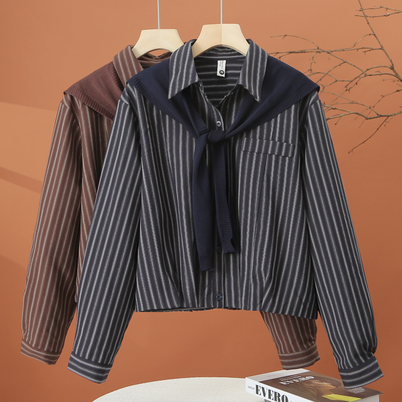 秋季长袖条纹衬衫女2025年新款