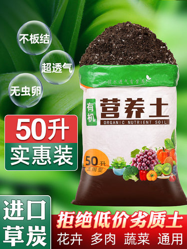 有机白菜花价格 有机白菜花图片 星期三