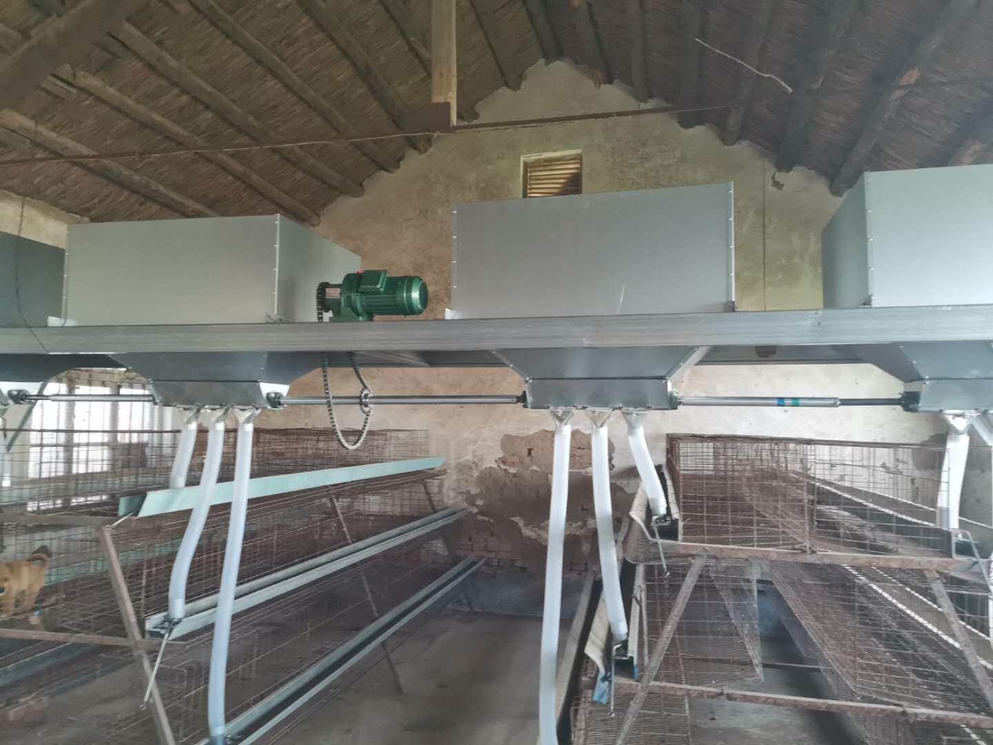 蛋鸡全自动喂料机天车送料行车加料喂食加饲料 全自动化养鸡设备