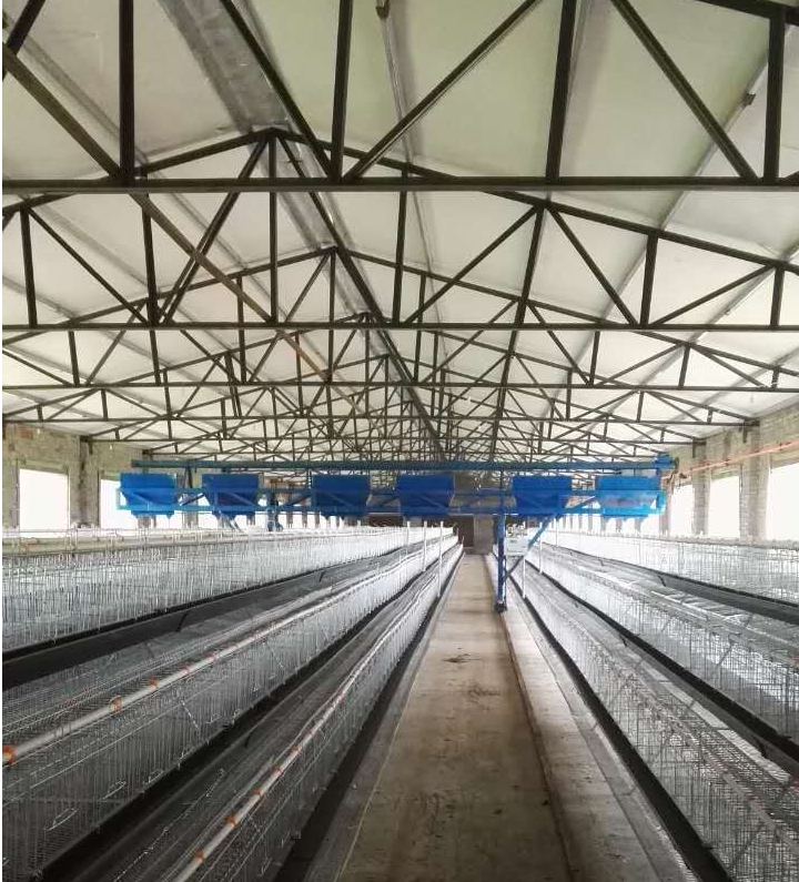 天车四层立式小鸡育雏笼自动化鸡舍农用养殖鸡笼蛋鸡全自动上料机