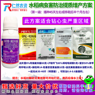 水稻杀虫防病提质增产三遍药适合钻心虫偏重发生地杀虫杀菌补营养