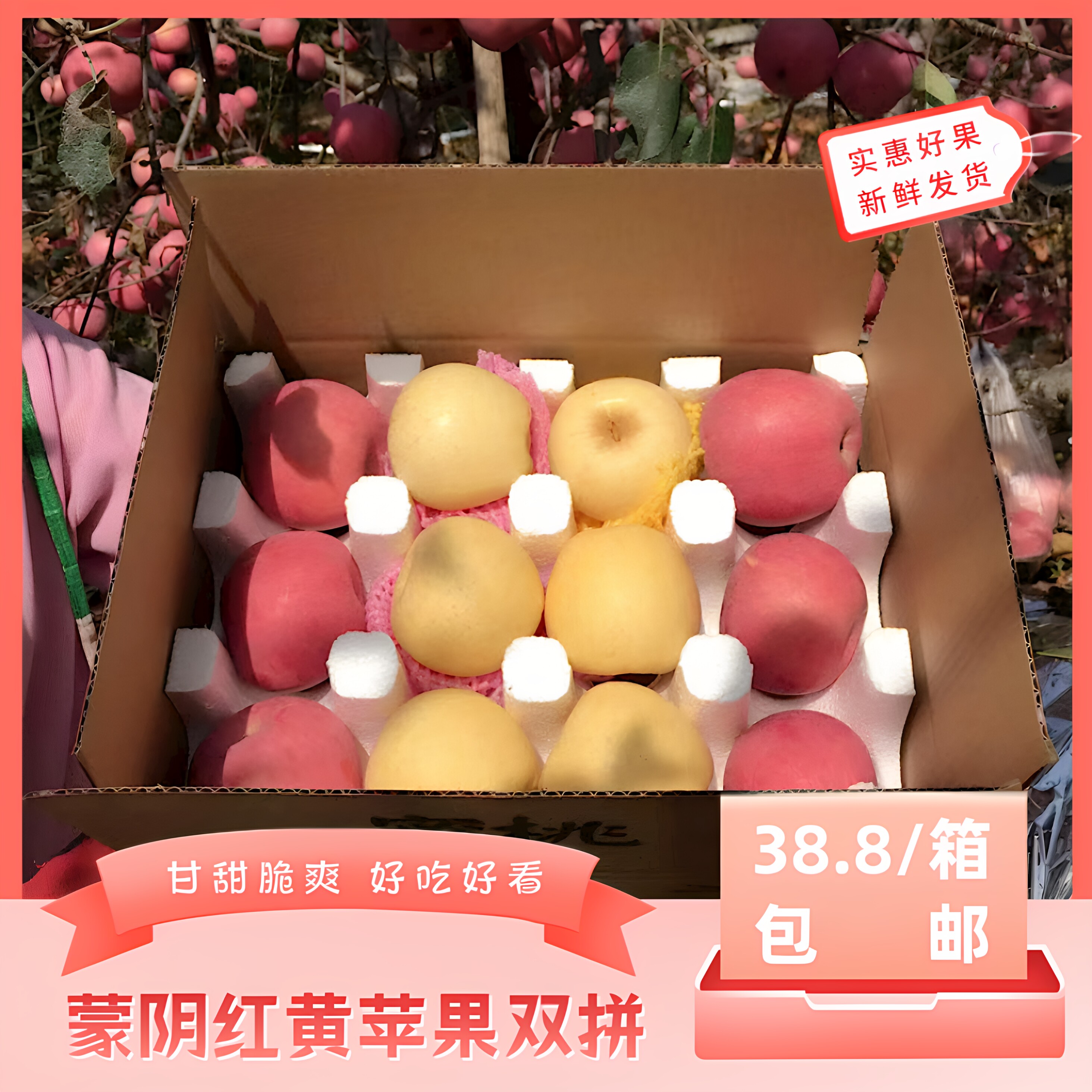 苹果双拼甘甜脆爽色味俱佳包邮