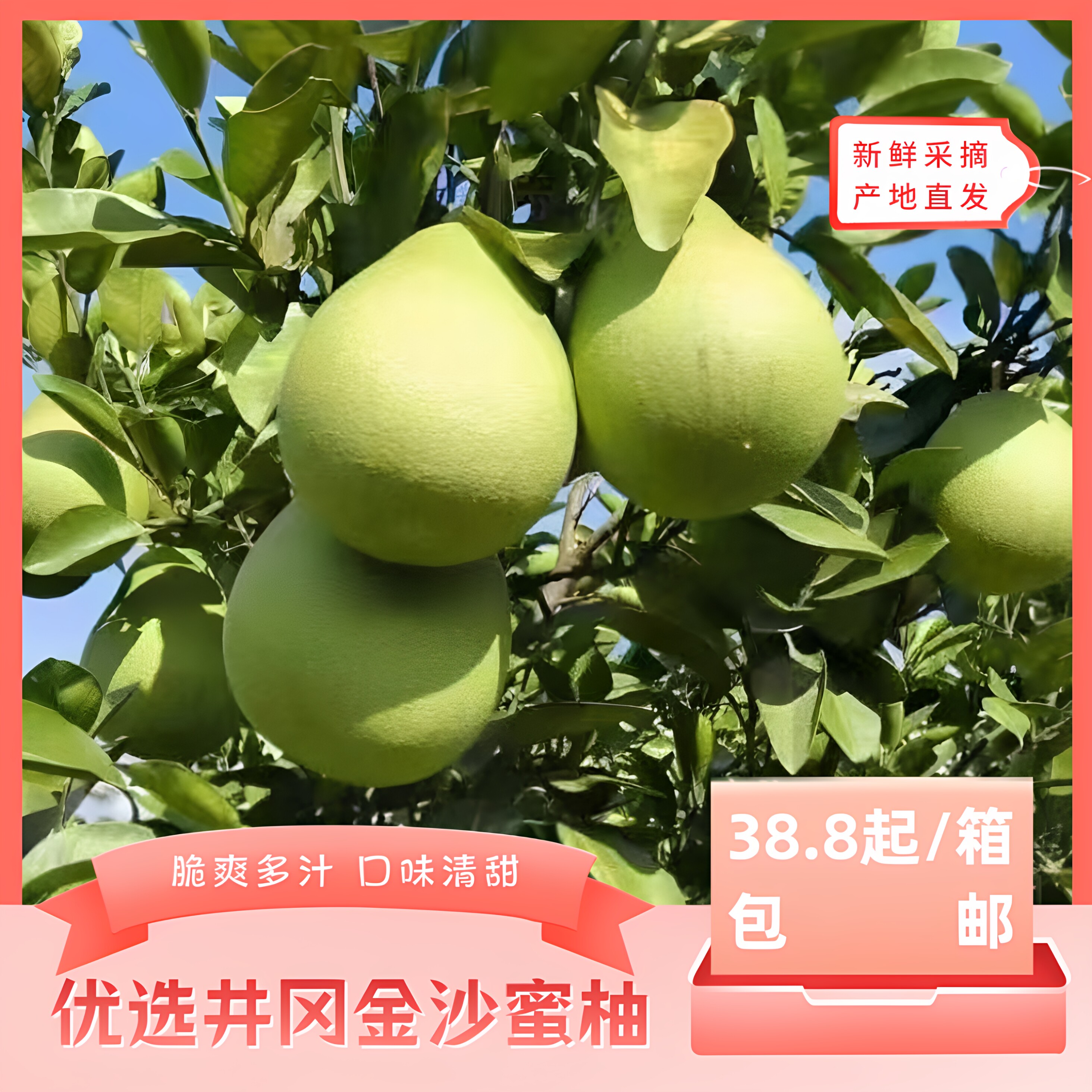 江西蜜柚脆爽多汁口味清甜包邮