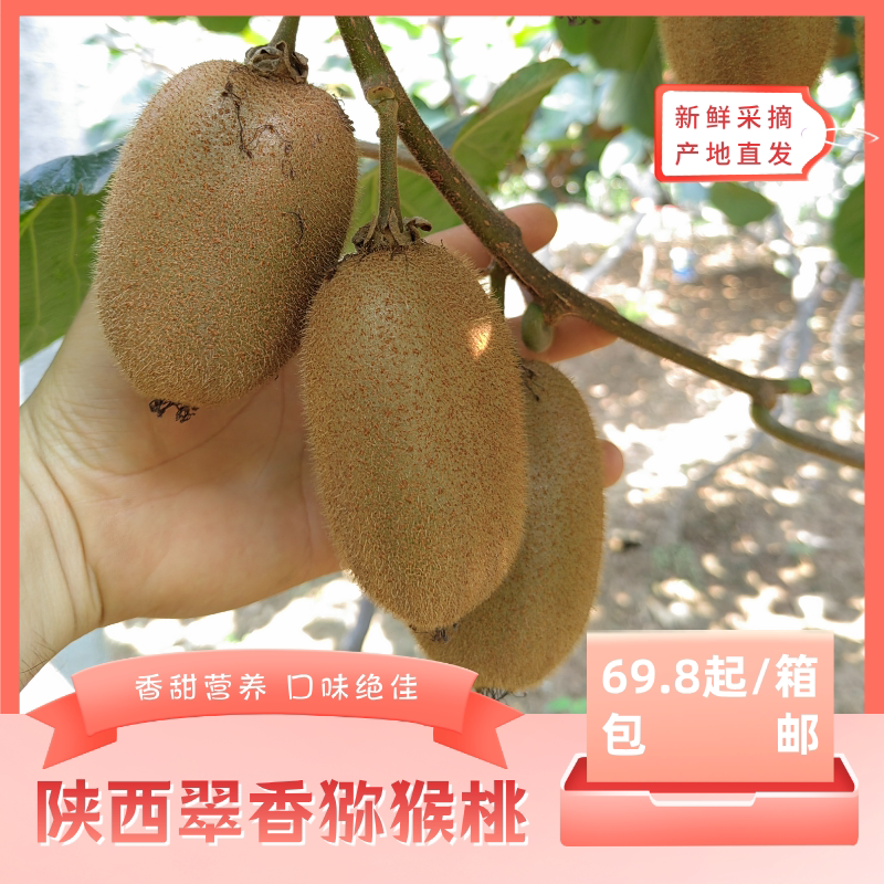 香甜营养·风味十足·产地直发