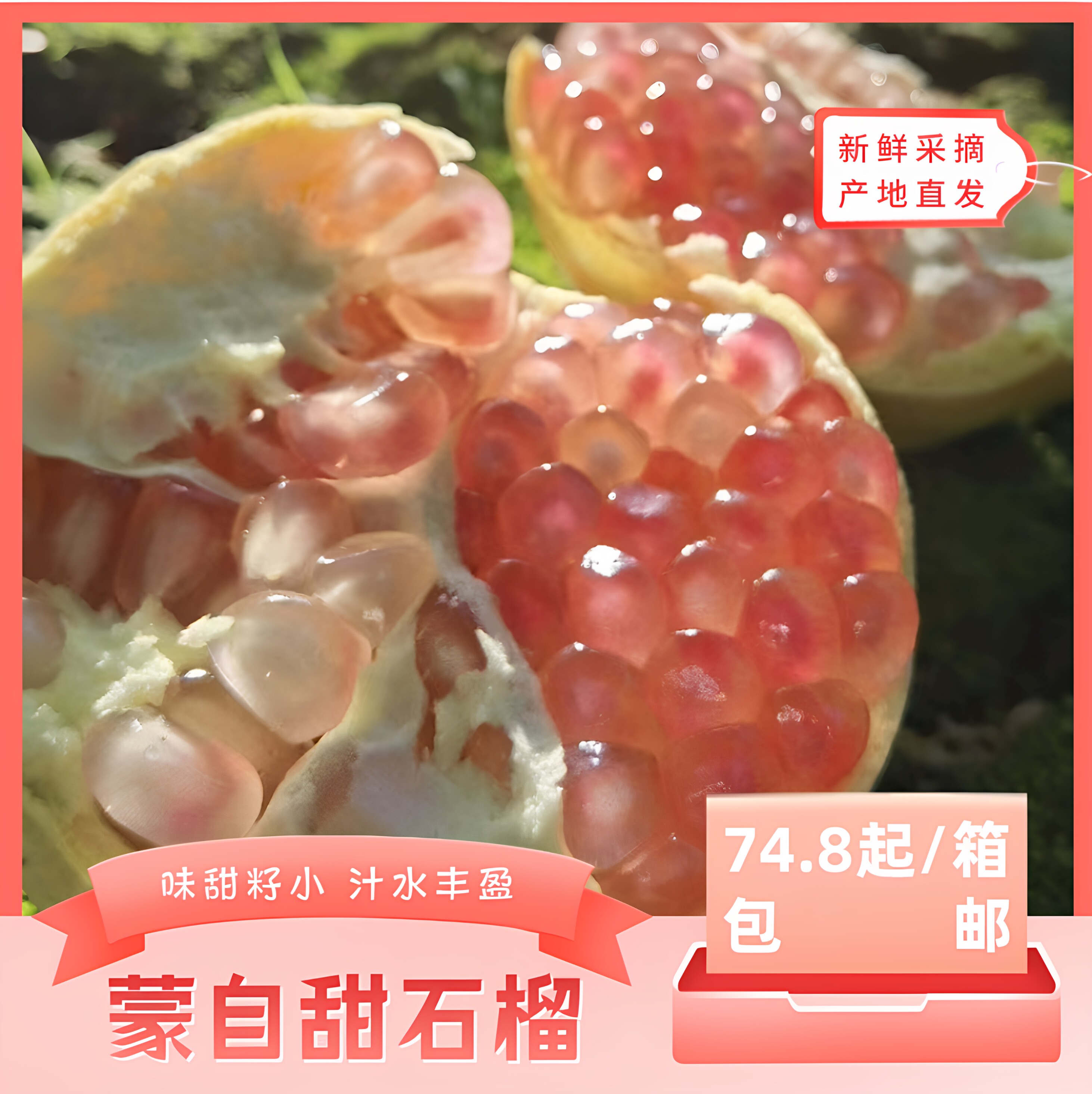 味甜籽小·汁水丰盈·精选优质果