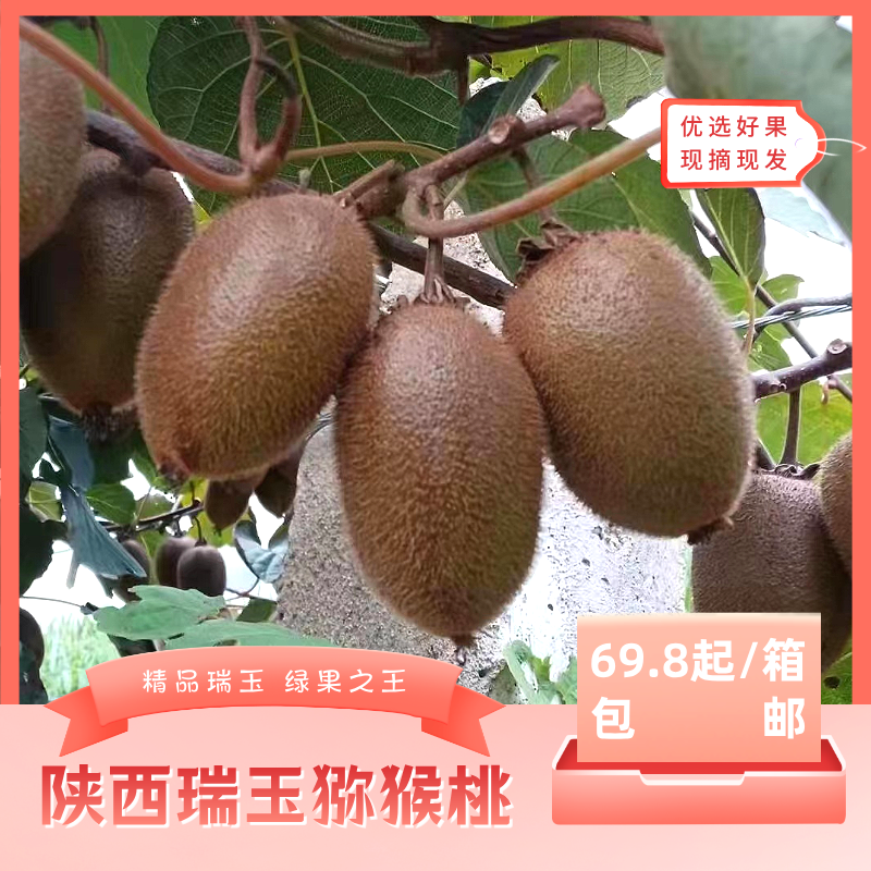 精品瑞玉·绿果之王·香甜营养