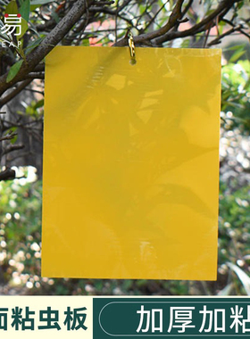 粘虫板A1pq301-大棚用果园花卉园诱虫板双面黄板沾小飞虫果蝇蓟