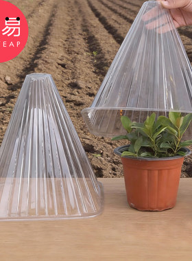 育苗保护罩A1pq301-植物防风罩植物幼苗闷养罩钟罩锥形绿色植物罩