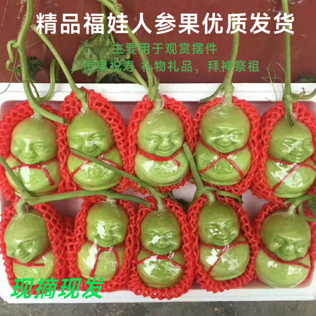 当季新鲜人参果福娃水果人形制作长寿果贡果甜瓜节日礼品观赏