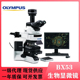 OLYMPUS奥林巴斯研究级正置生物显微镜BX系列BX43 BX53 FISH