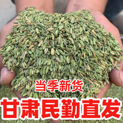 【当季新货】甘肃民勤小茴香香料调料小茴香颗粒当季新货