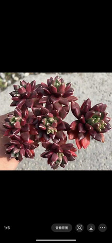 邮费补差链接