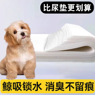 狗狗吸尿纸加厚除臭吸水垫宠物擦尿纸尿垫猫咪隔尿垫一次性吸水纸