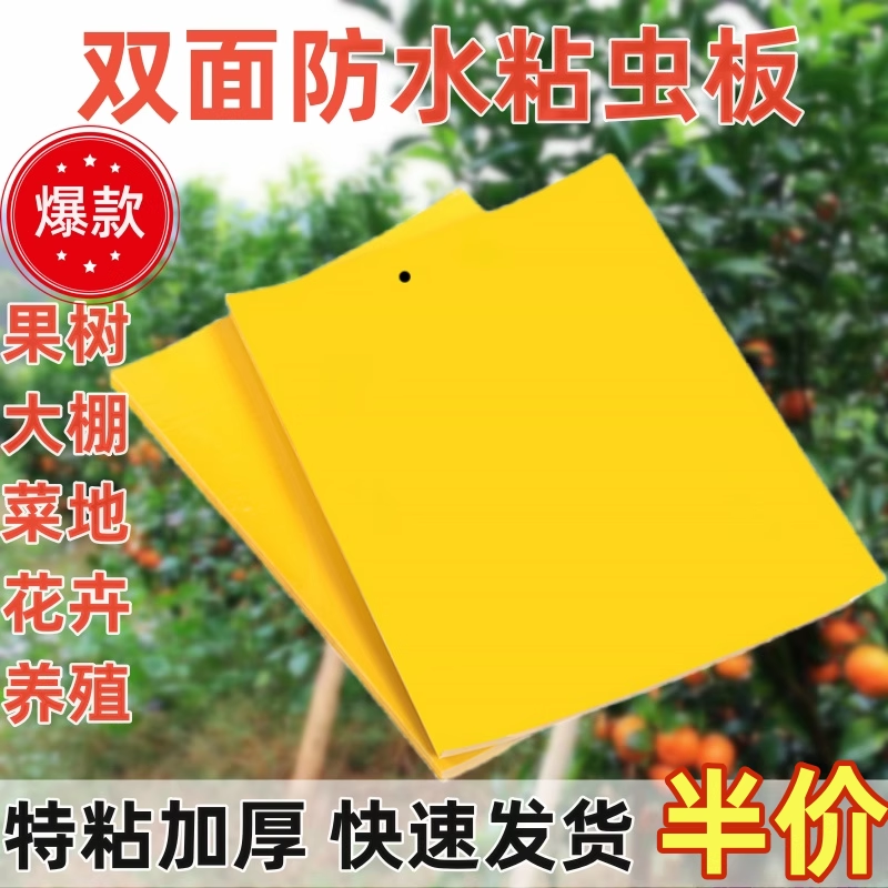 粘虫板黄板双面诱虫板贴纸灭小飞虫沾果蝇诱捕器果园蚊子苍蝇大棚