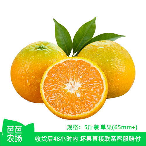 【芭芭农场】夏橙5斤礼盒装 单果65mm+ 包邮发货