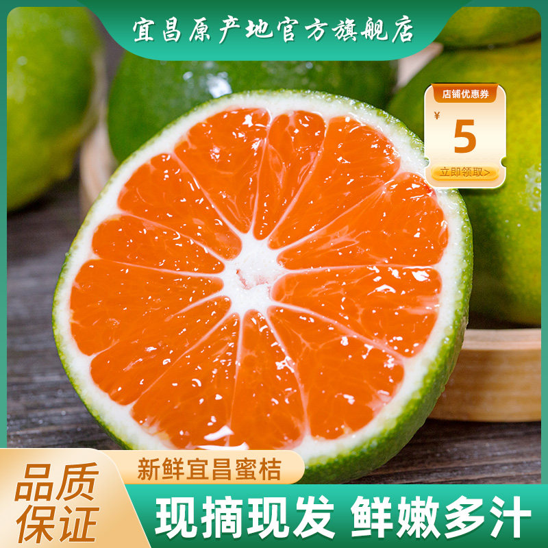 新鲜宜昌青皮蜜桔9斤大果当季水果应季整箱湖北桔子酸甜多汁包邮