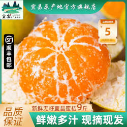 宜昌蜜桔包邮9斤新鲜水果青黄皮蜜橘子应季早熟无籽桔子整箱