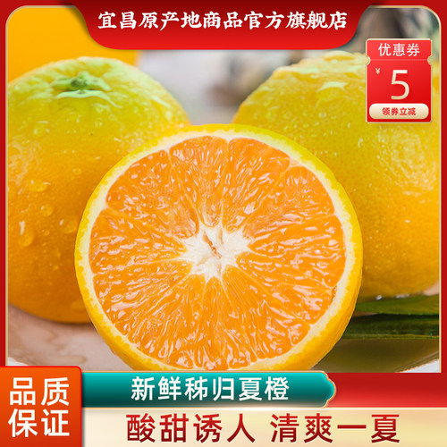 湖北秭归夏橙酸甜多汁