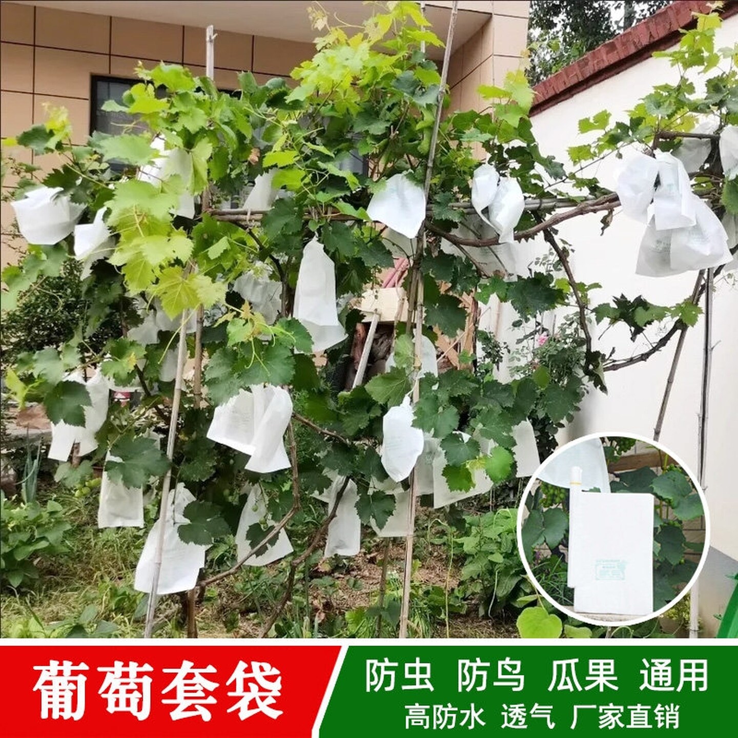 套葡萄的纸袋子葡萄套袋专用袋防虫葡纸袋葡萄袋果袋防水萄专用的