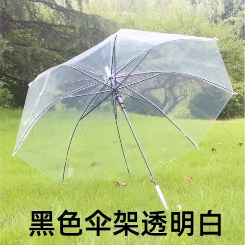 学生透明雨伞女自动长柄大号学生双人加大加厚结实手绘涂鸦小伞
