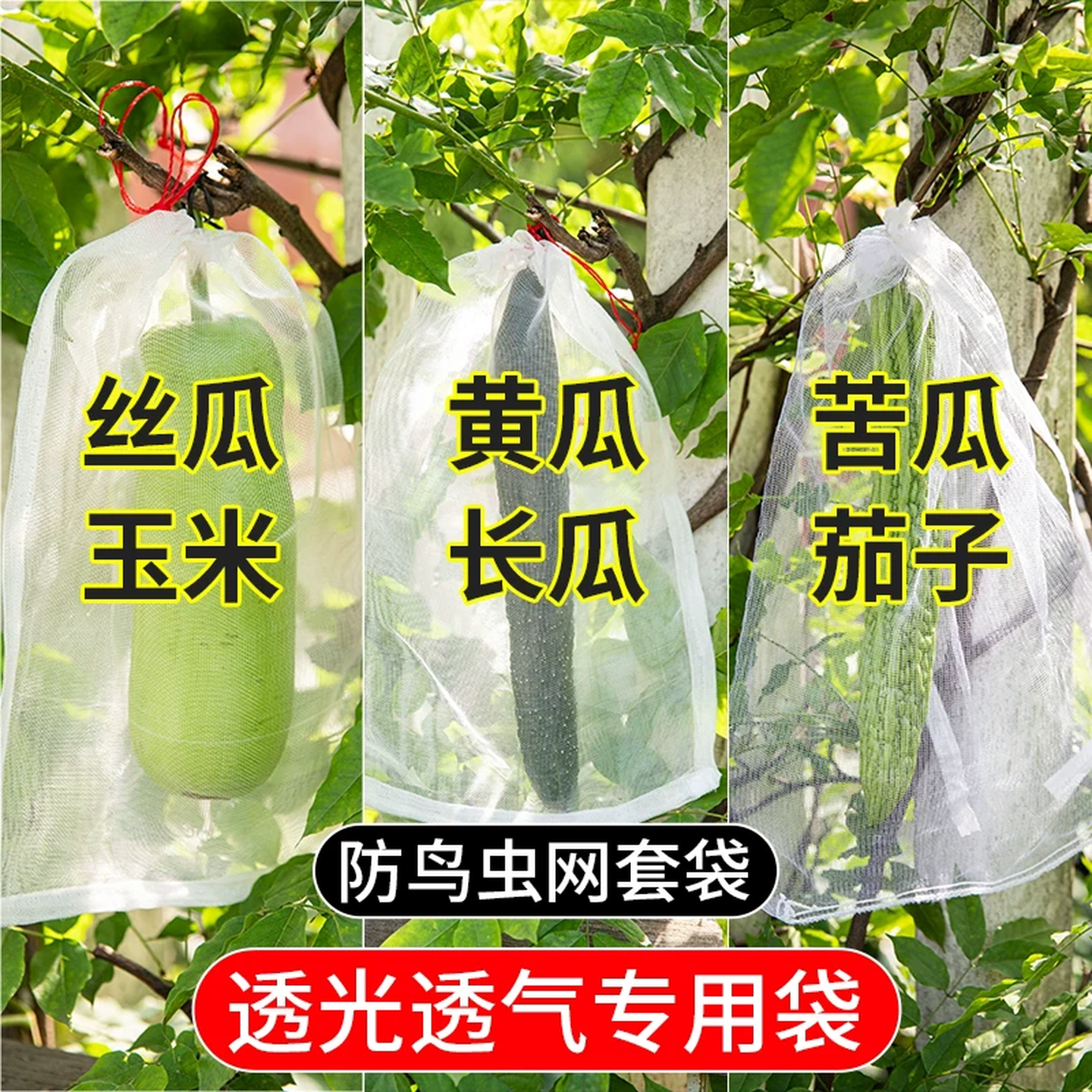 丝瓜黄瓜苦瓜套袋纱袋防虫适用网袋水果葡萄番茄枇杷瓜果保护袋子