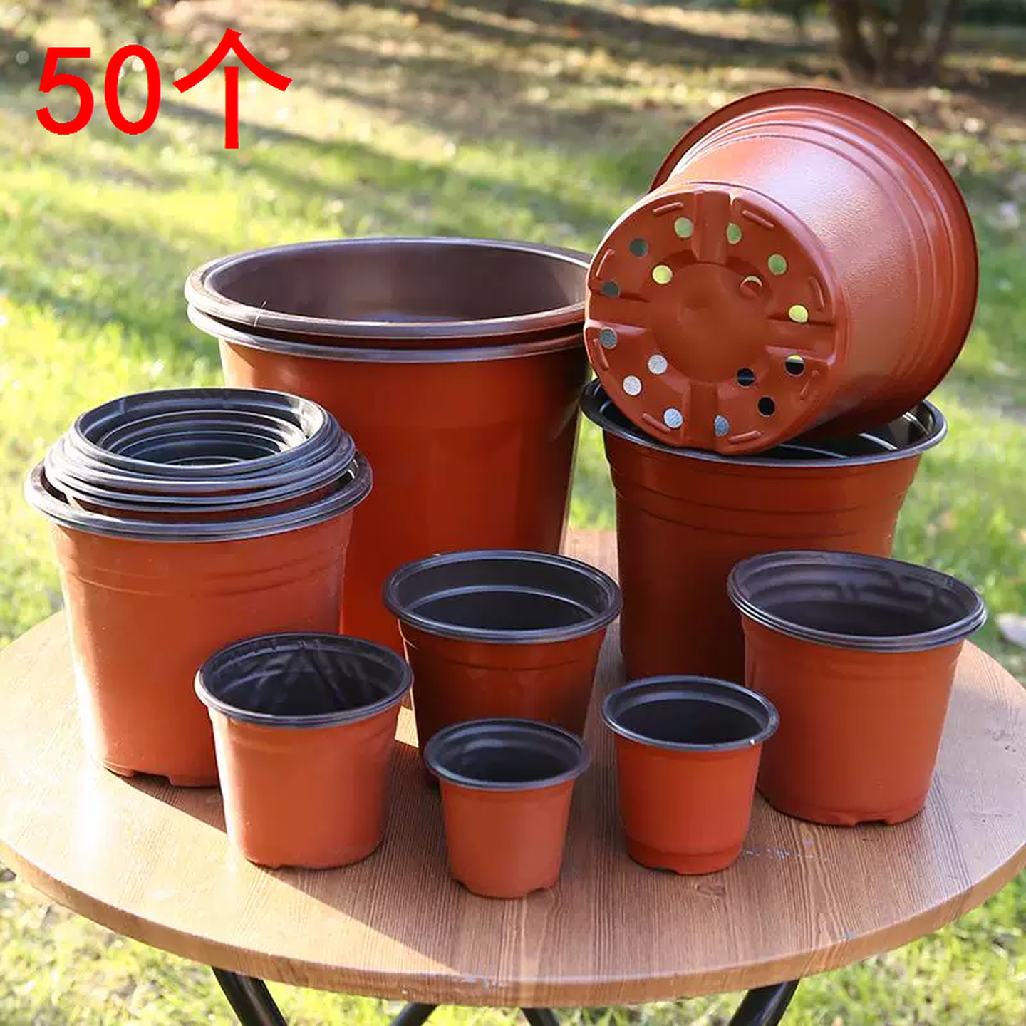 双色多肉花盆一次性育苗盆花盘育苗塑料盆控根器软塑料容器植物