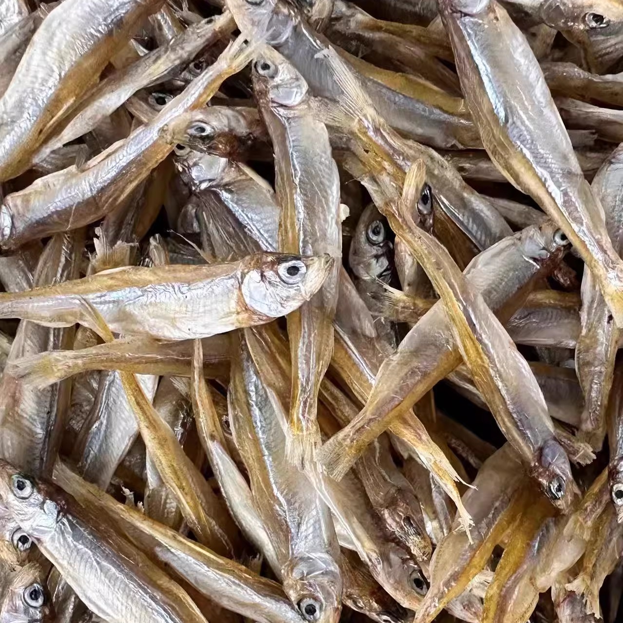 秋生小鱼干2025年新货浑江晾晒野池沼公鱼早餐1斤装 东北辽宁特产