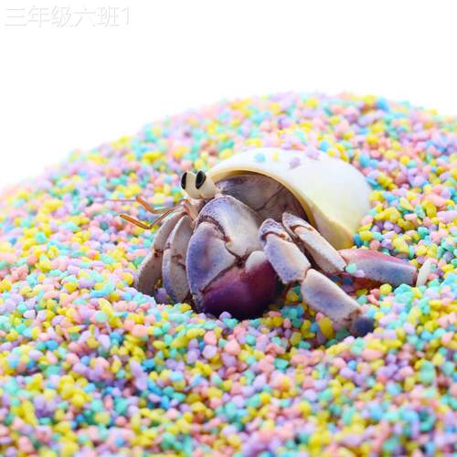 通用型家用陌蟹派寄居用彩小虹造沙专～几近尘新手垫材宠用品无景