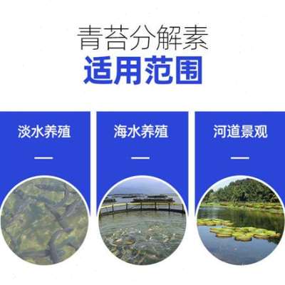 青苔克星生物青苔净除青苔去除剂水产养殖鱼塘虾蟹塘杀青苔分解素