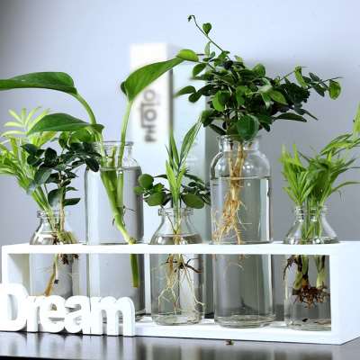 创意木架水培植物玻璃花瓶插花器办公室桌面摆件水培植物花盆