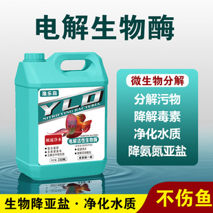 电解生物酶鱼缸净水剂分解氨氮亚硝酸盐空气缸硝化细菌鱼缸绿水藻