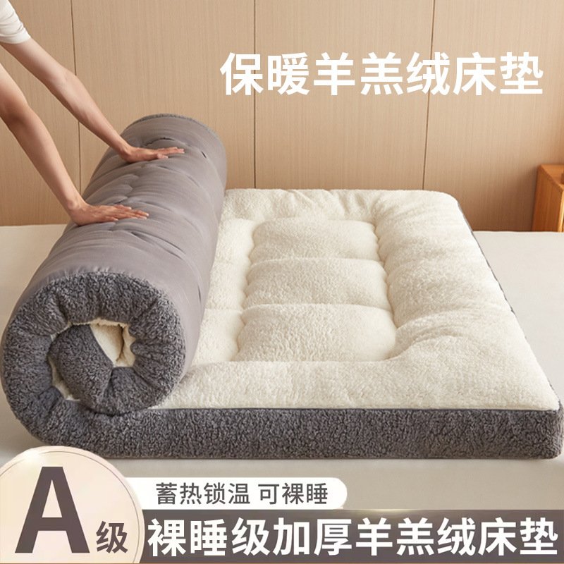 进口冬季新款羊羔绒床垫家用软垫卧室加绒加厚床褥垫租房专用垫子