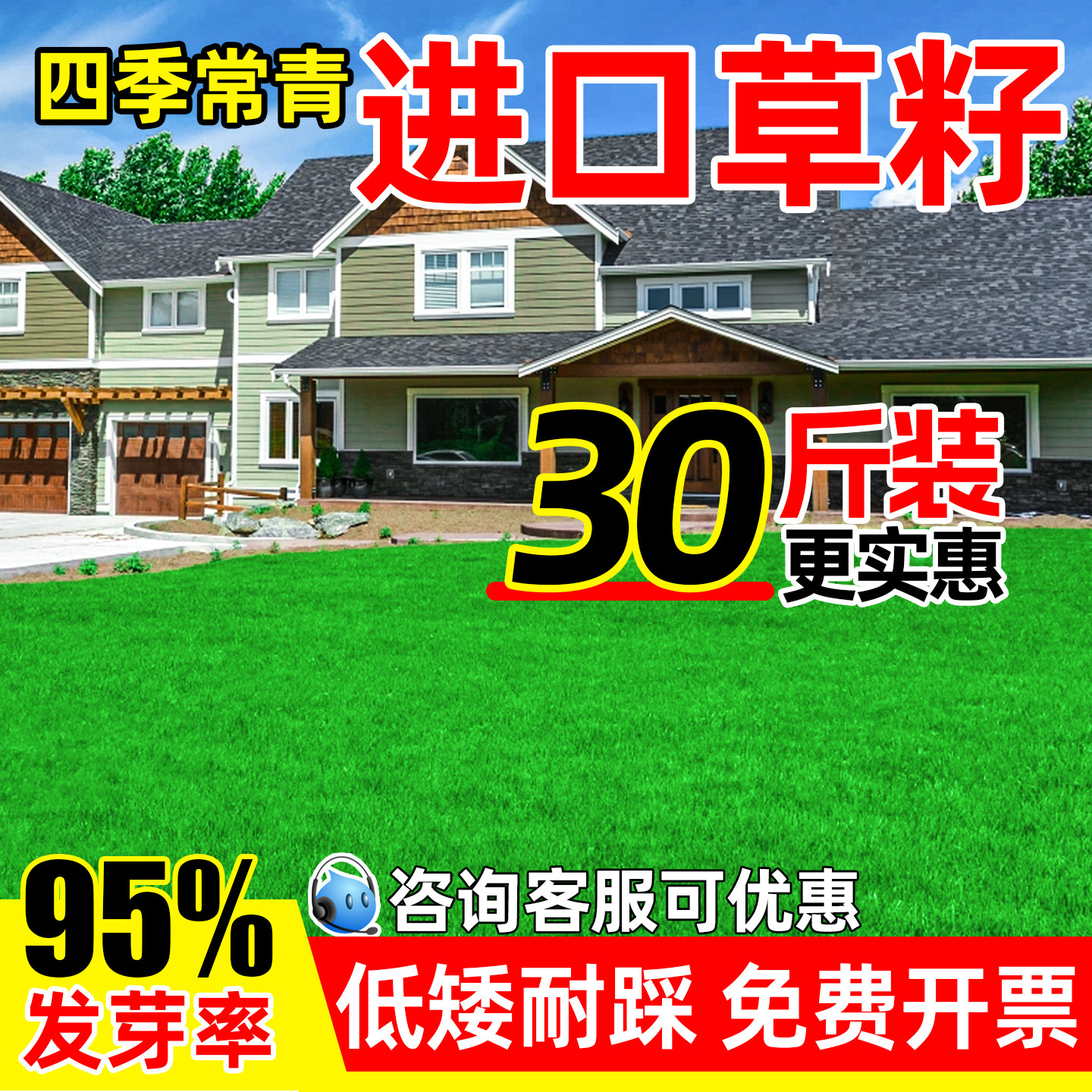草坪草籽护坡固土庭院绿化草种子