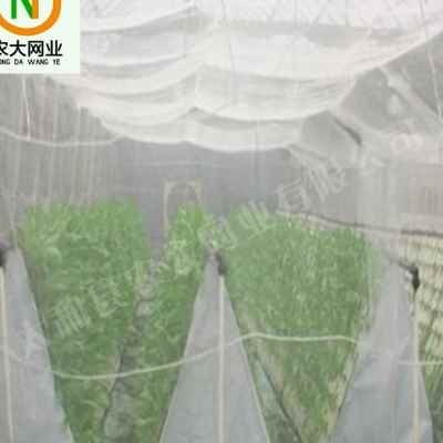 花粉隔离网 500目400目300目高密度花粉隔离网罩滤网 杂交套袋网