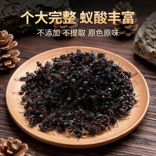 秦鼎泰长白山黑蚂蚁干泡酒料粉