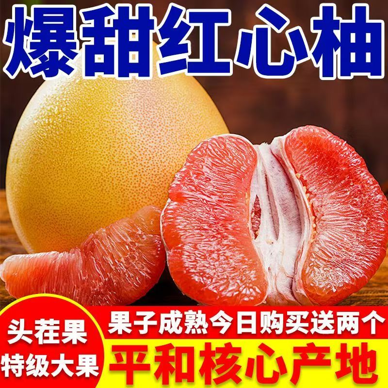 福建平和新鲜现摘正宗红心柚子三红柚琯溪蜜柚送礼佳品