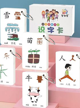 智迪星1-6岁早教启智识字卡