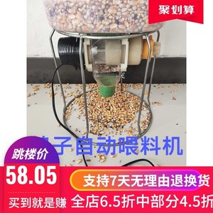 信鸽观赏鸽鸽定时定量养鸡全自动喂食器鸭鹅投料机定时投喂料散养